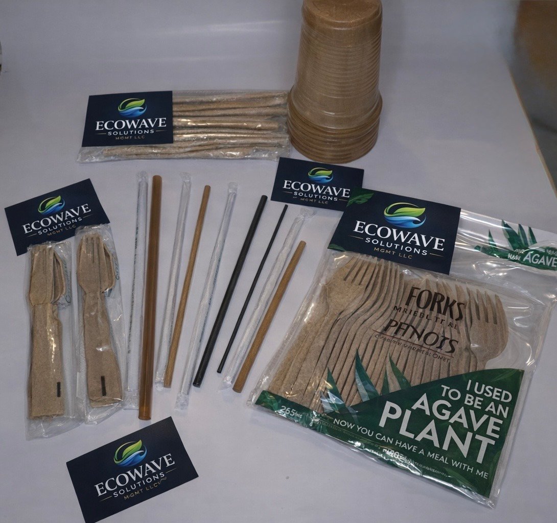 Ecowave eco-friendly disposable products including wooden utensils, straws, cups, and forks with branded packaging on white surface